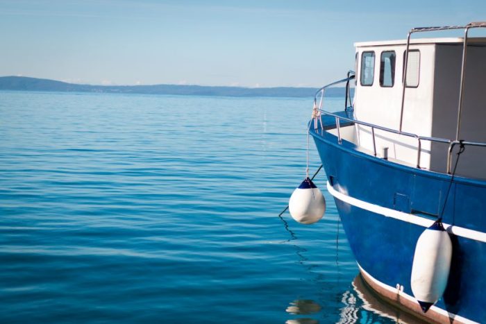 NAUTIC CLEAN - ČISTAČ BOKOBRANA br. 03* - Slika 2